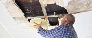The Role of Professional Restoration Services in Water Damage Recovery